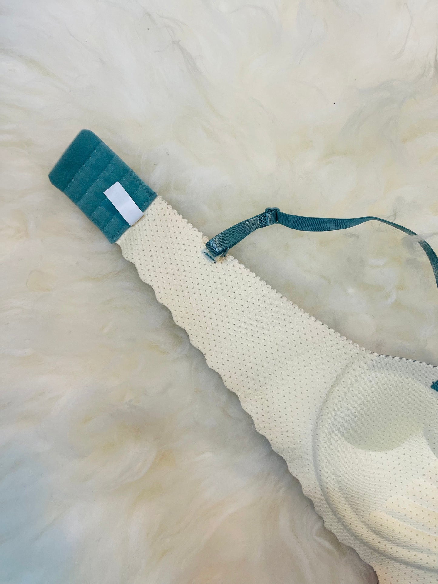 Imported Seamless Floral Pattern Padded Bra – Teal Green Edition 🎁